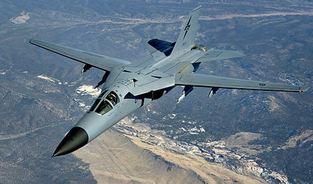 Composite panels were developed for the F-111 aircraft to replace aging metal ones.